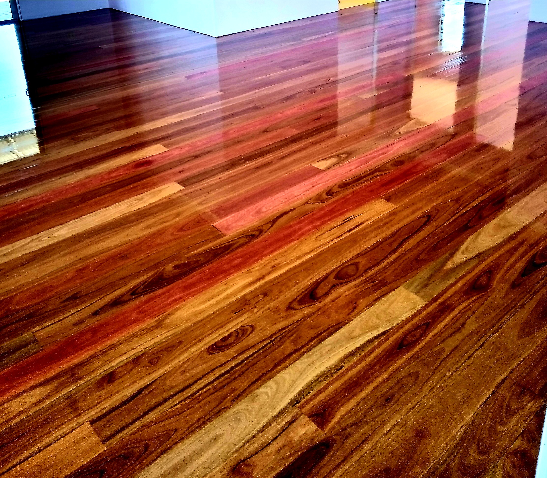 Discovery Coast Floors  - image 5