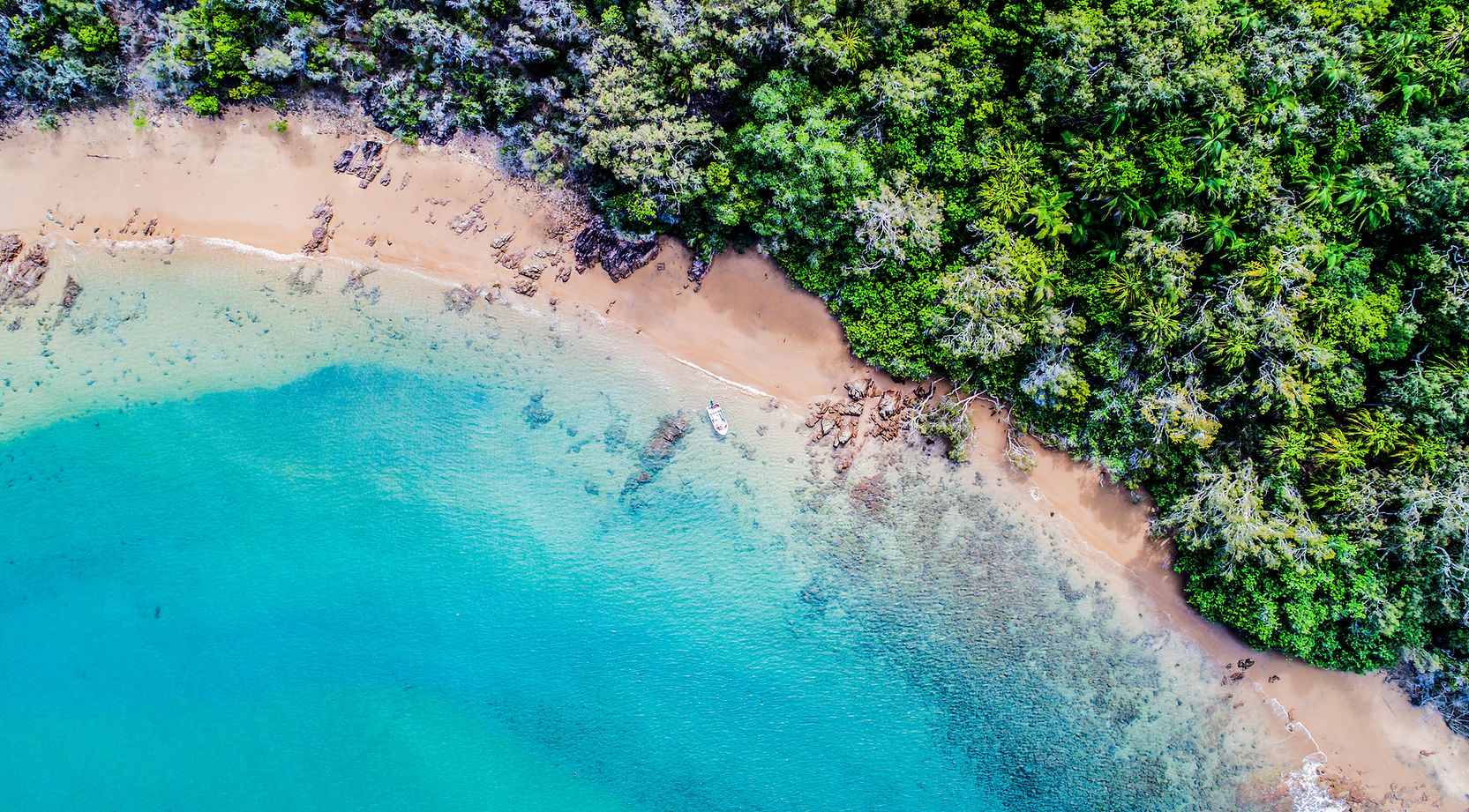 Kim Cooke Photography - Art - Graphic Design - image 5