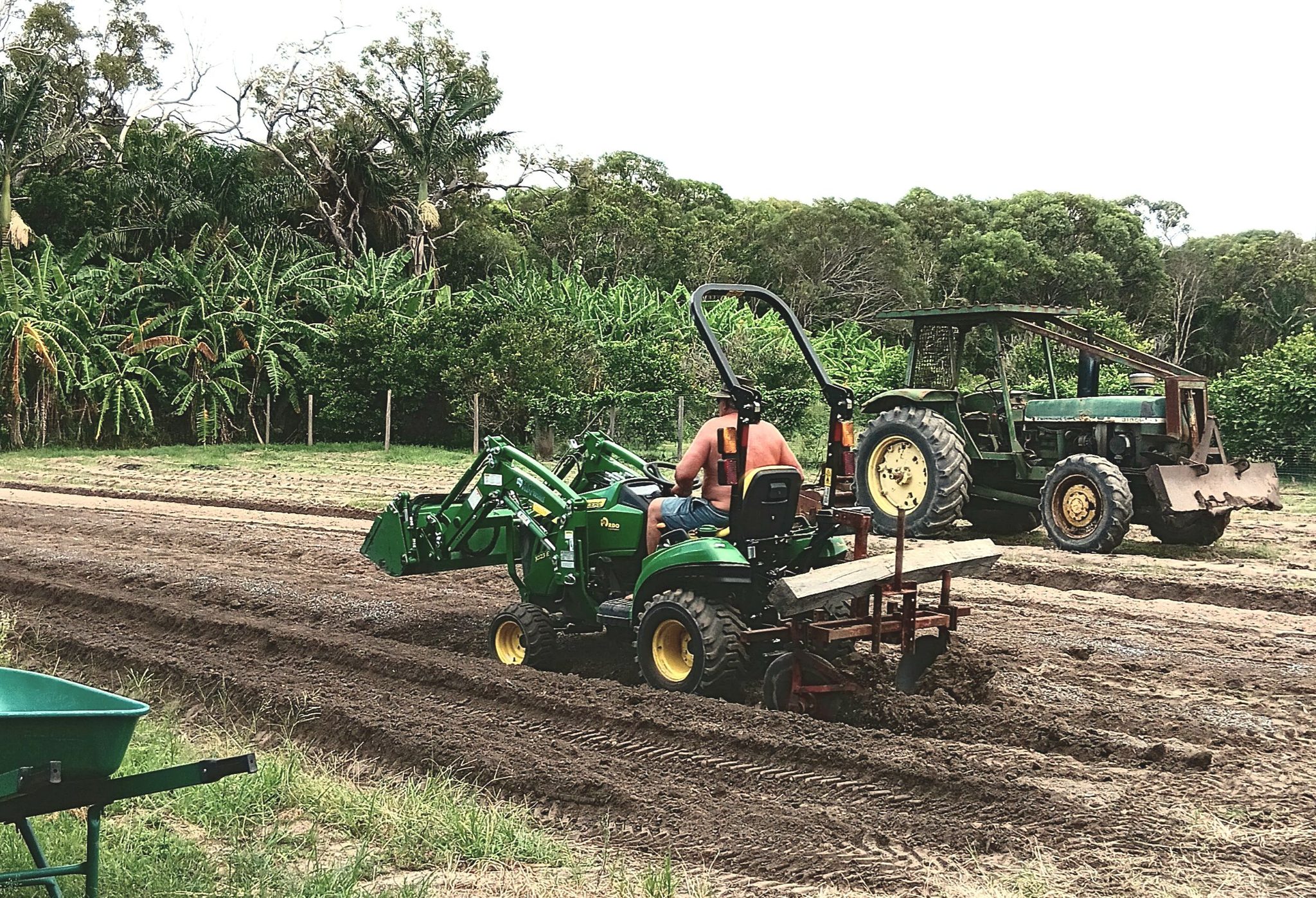 Ron's Fruit and Vegetables  - image 5