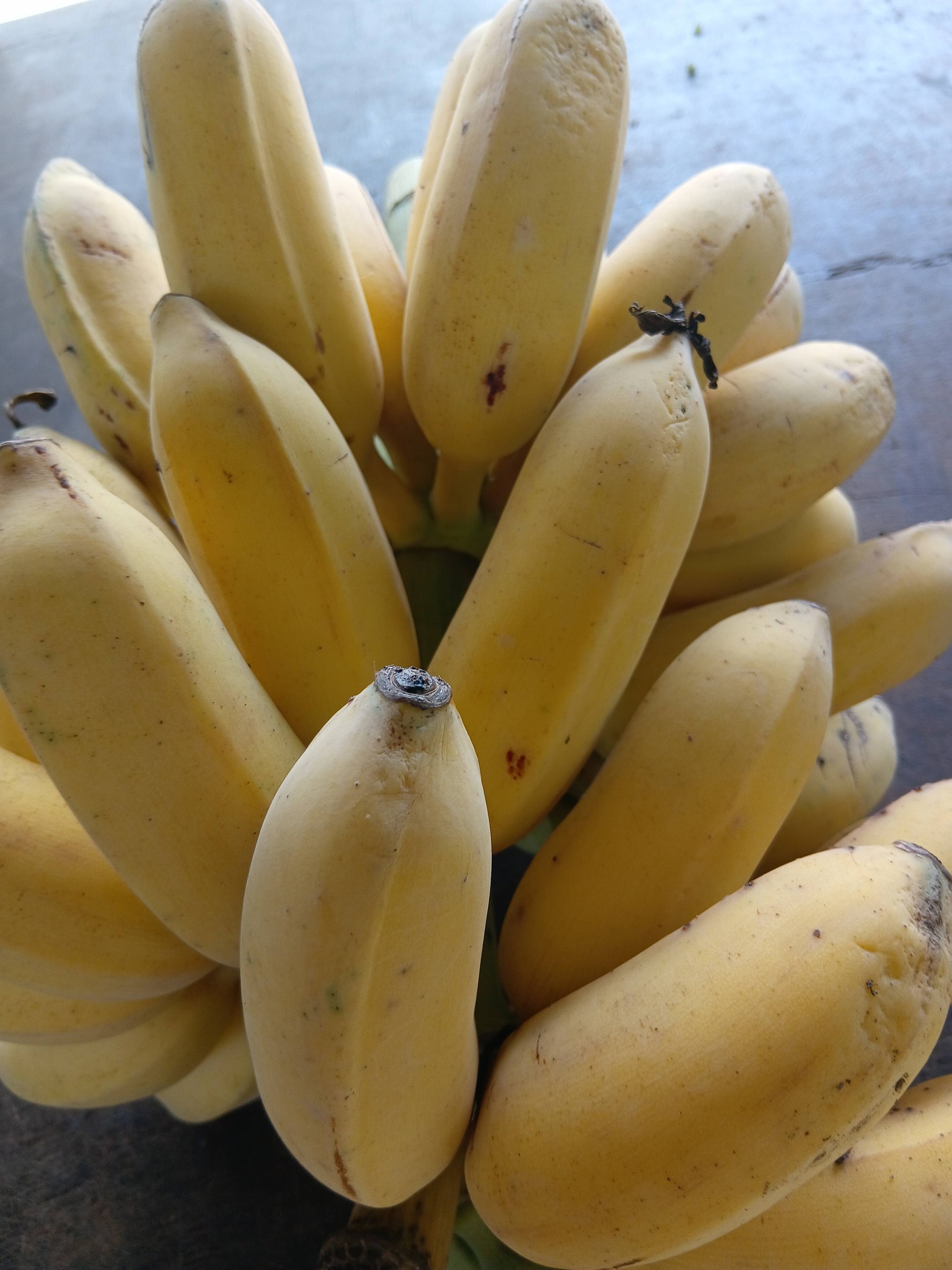 Ron's Fruit and Vegetables  - image 5