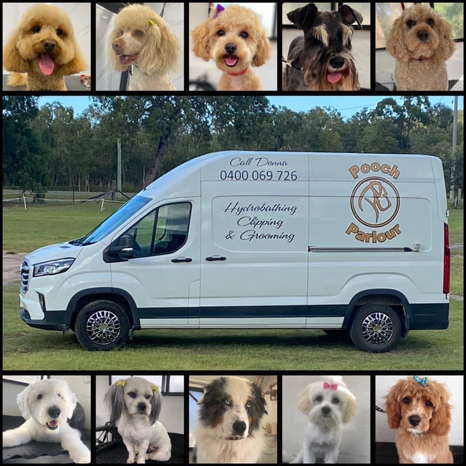 POOCH PARLOUR MOBILE DOG GROOMING  - image 5